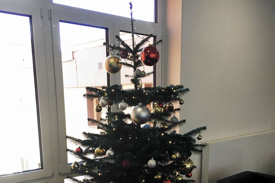 Weihachtsbaum_Titelbild