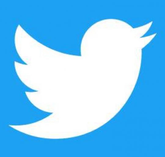 Twitter_Logo_White_On_Blue