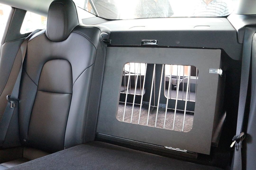 Tesla Model 3 Hundebox