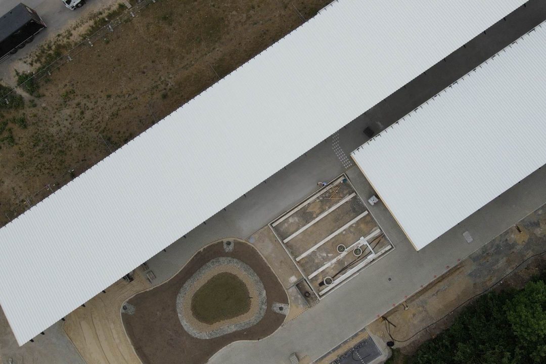 Seed and Greet Lichttest Neuigkeiten von der Baustelle